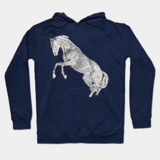 Jumping Horse Hoodie